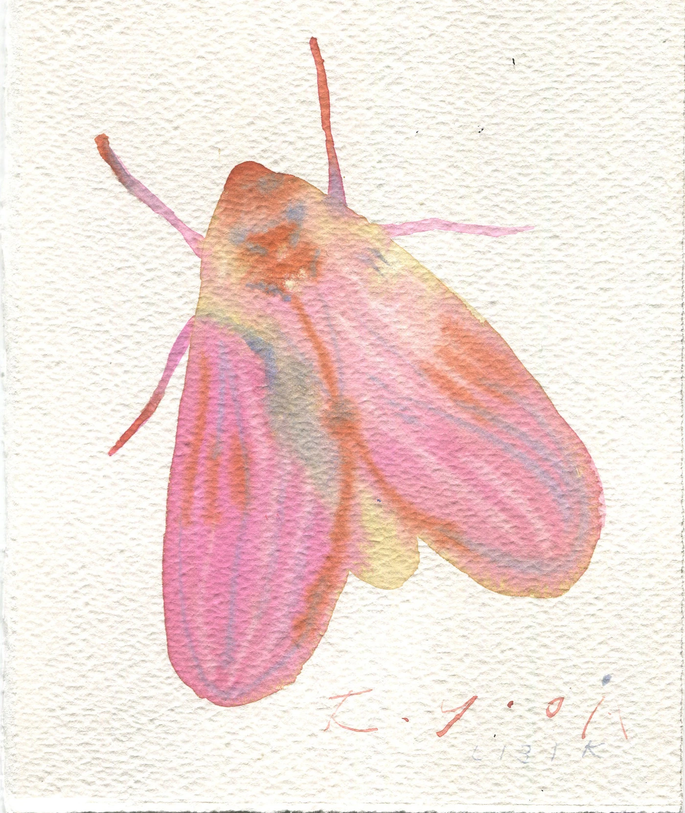 A pink soul
