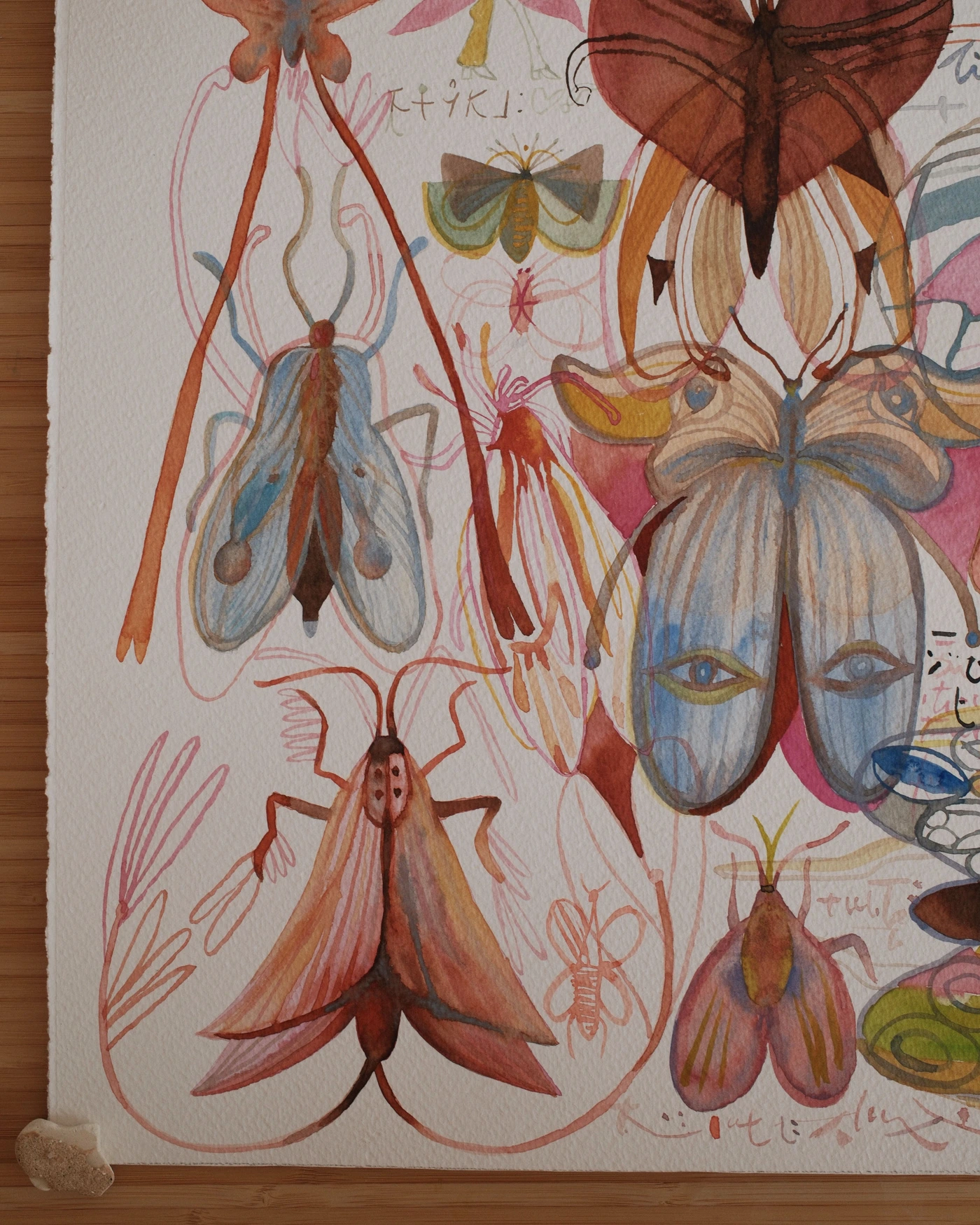 Butterflies of memory
