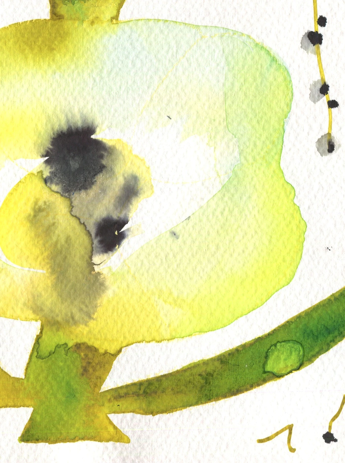 Double flower.