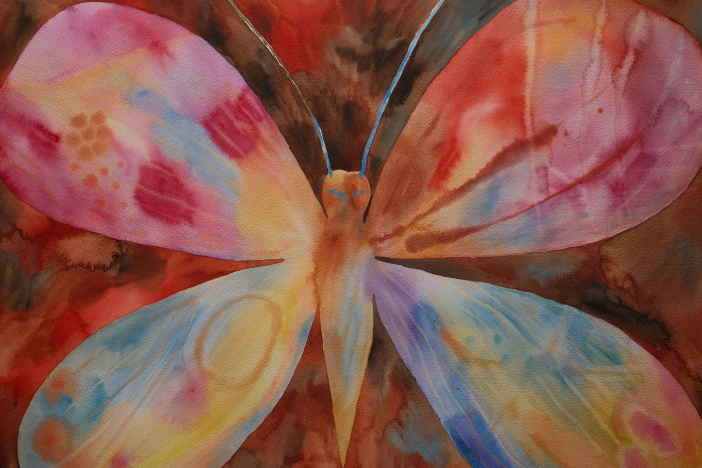 Rainbow butterfly