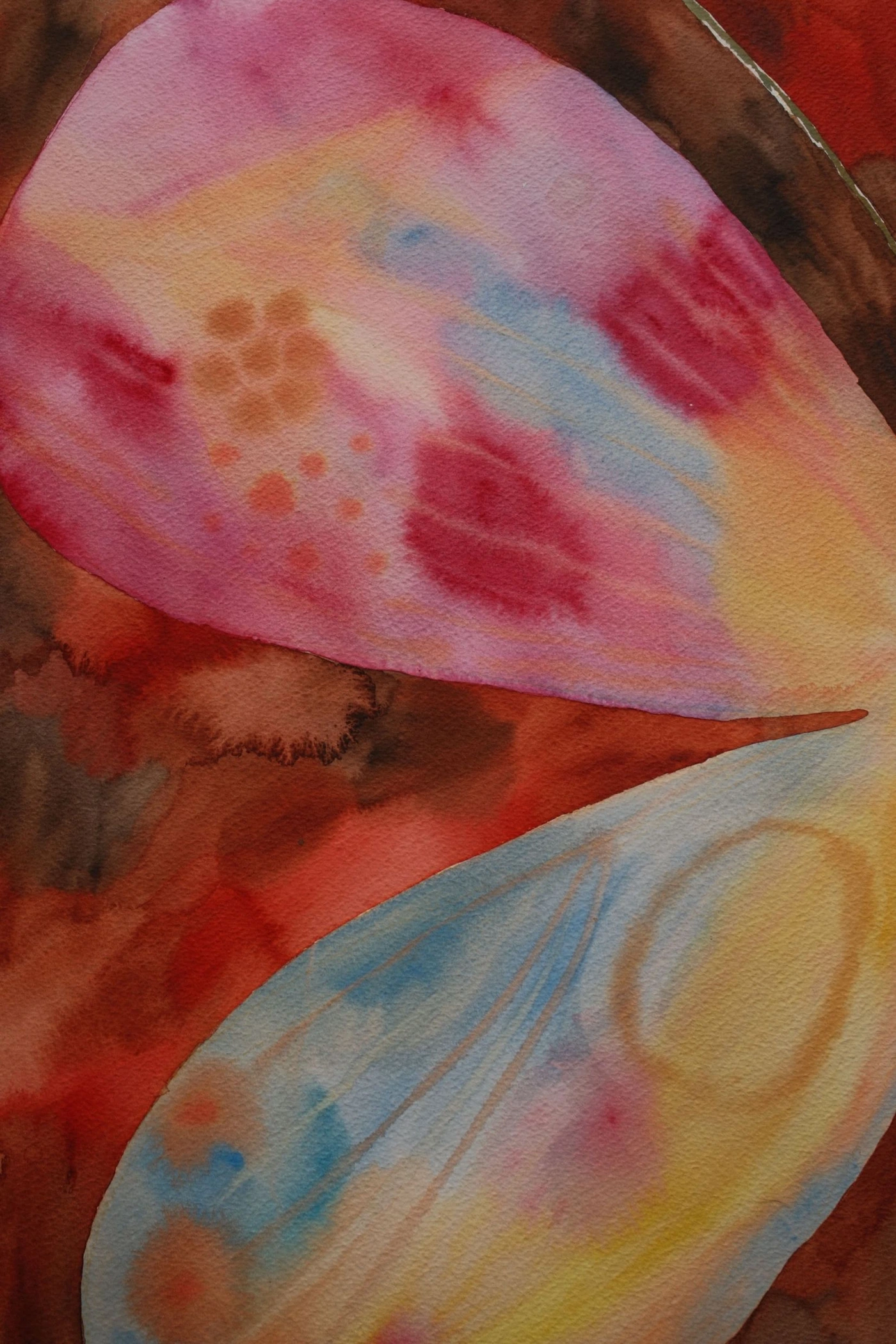 Rainbow butterfly