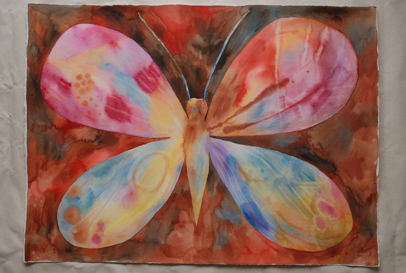 Rainbow butterfly