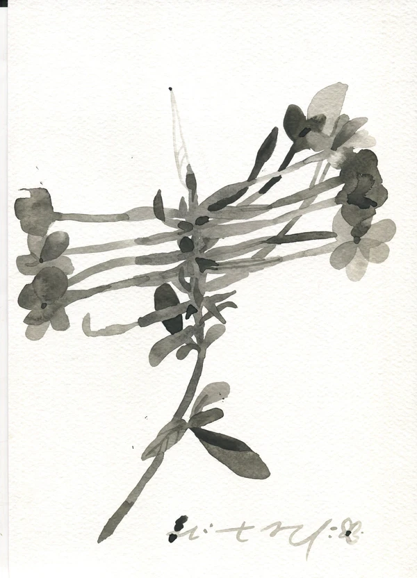 Series of black and white flowers