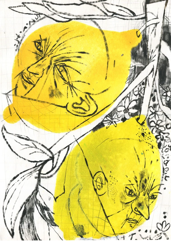 Two lemons.