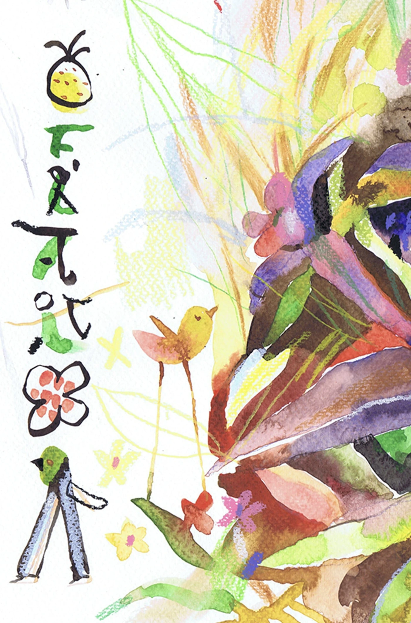 Bushes and birds