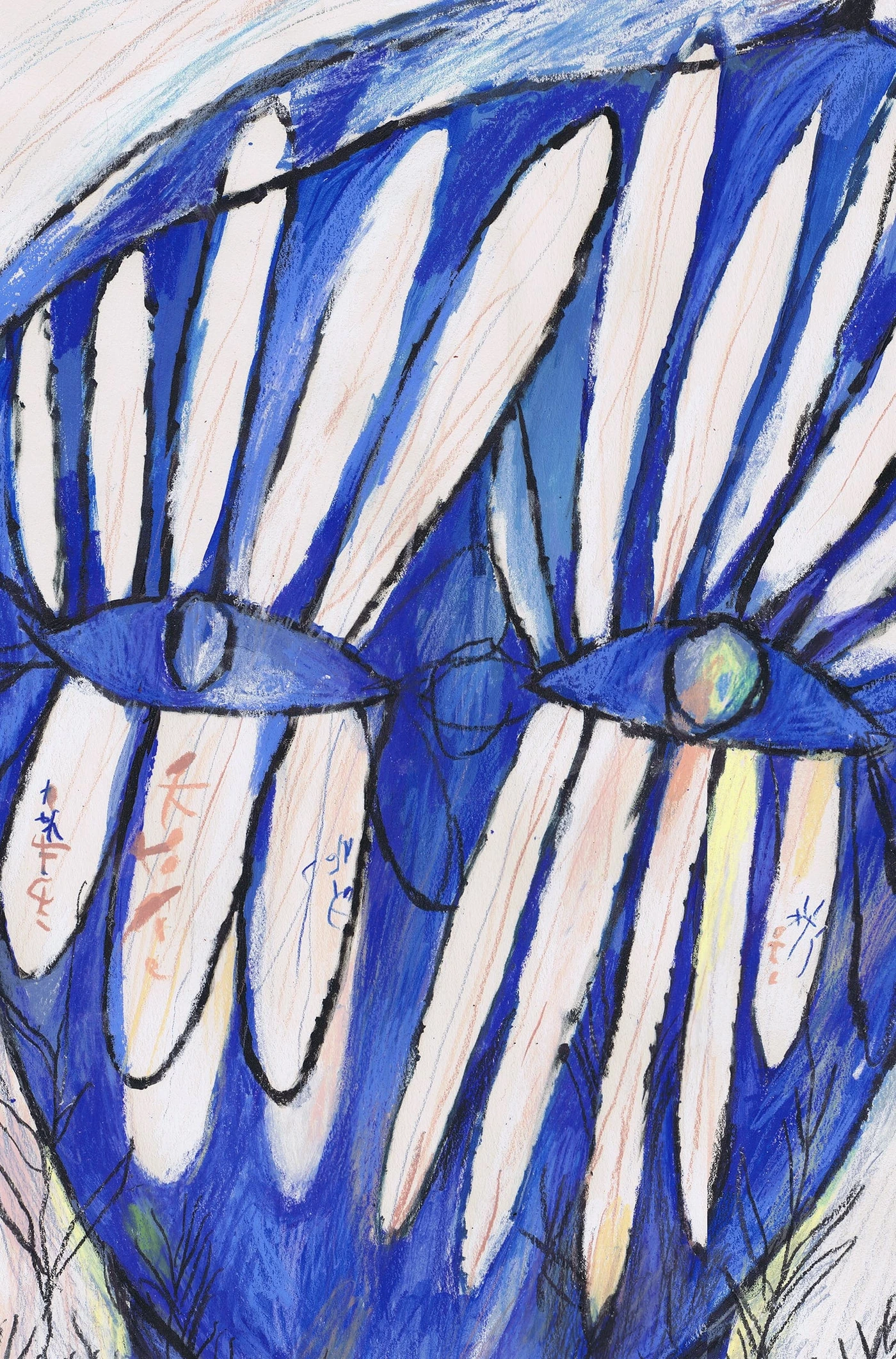 Eyes