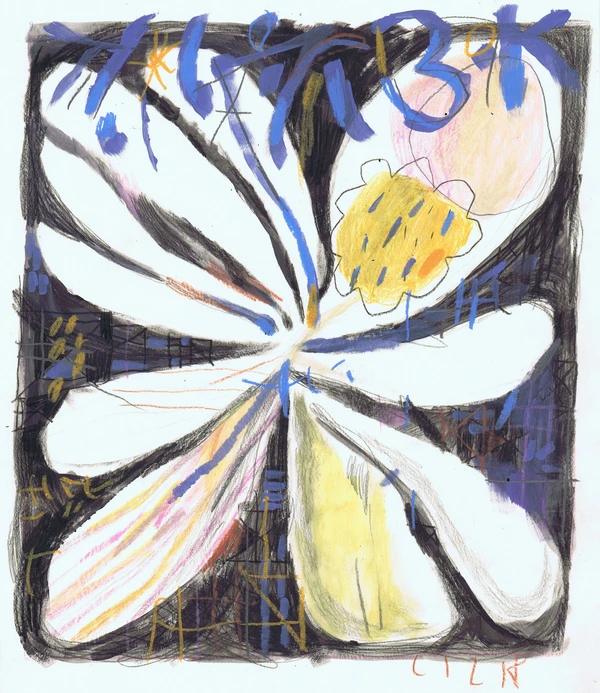 Night flower